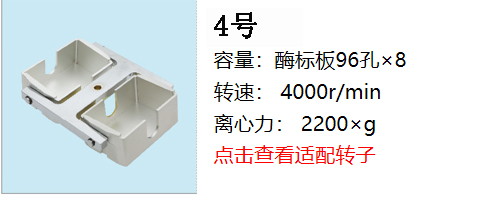 新轉子4.jpg