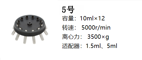 新轉子五.jpg