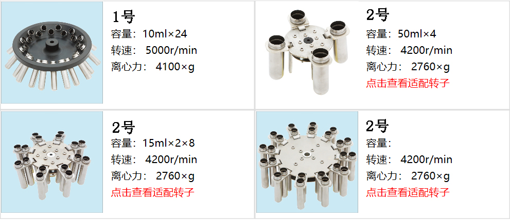 新轉子.jpg